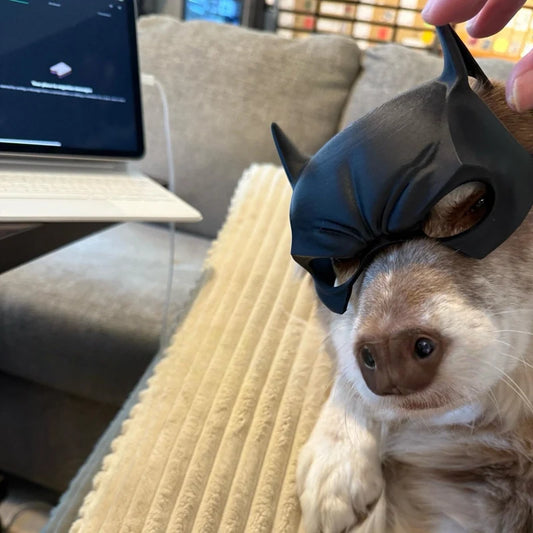 Bat-Eared Pet Mask for Cats & Dogs
