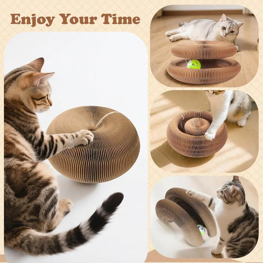 Cat Ball and Scratch Toy
