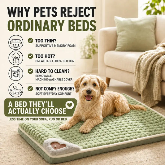 Machine Washable Dog&Cat Bed