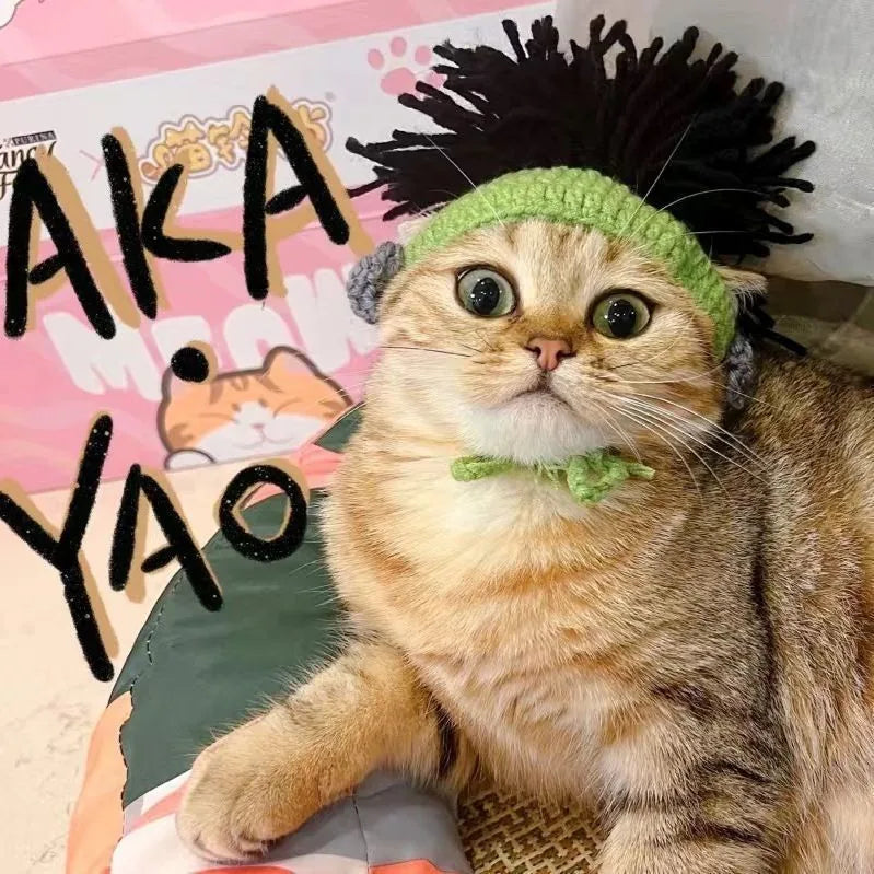 Soft Pet Costume Hat