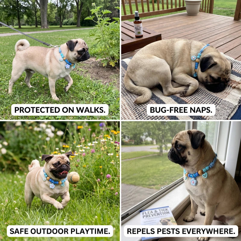 Cute Insect Repellent Pet Collar