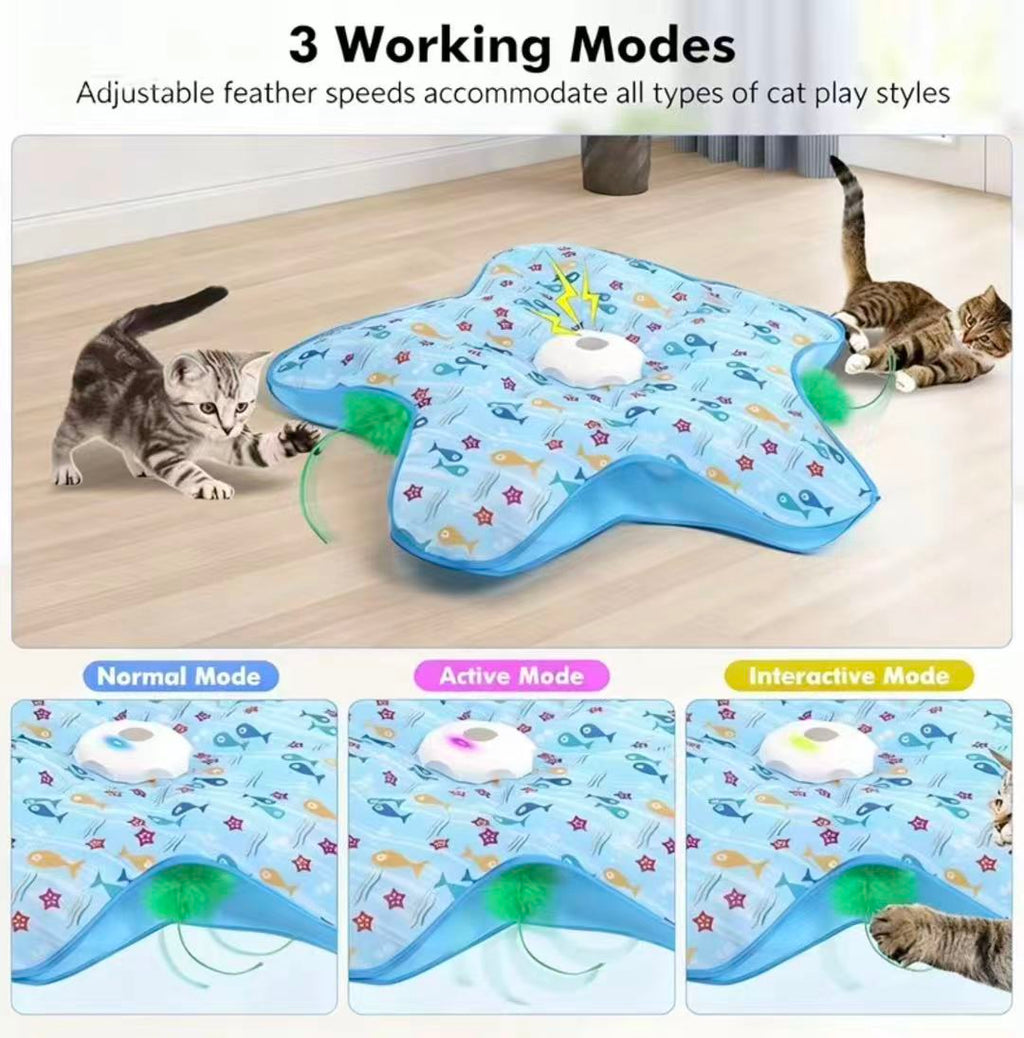 Interactive Electric Hide & Seek Cat Toy - Starfish Blue Edition