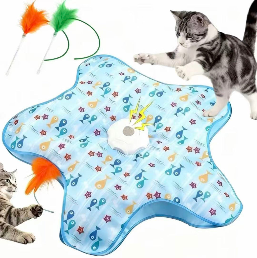 Interactive Electric Hide & Seek Cat Toy - Starfish Blue Edition