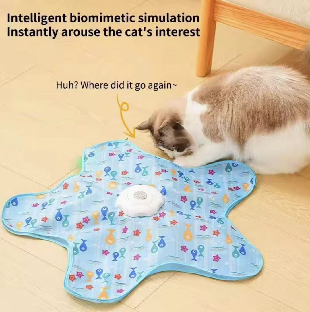 Interactive Electric Hide & Seek Cat Toy - Starfish Blue Edition
