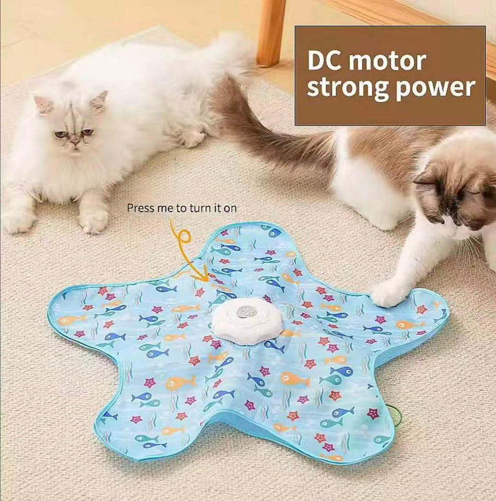 Interactive Electric Hide & Seek Cat Toy - Starfish Blue Edition
