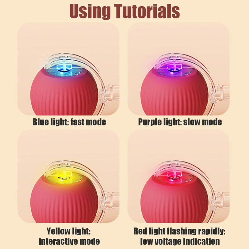Active Rolling Ball with Tail