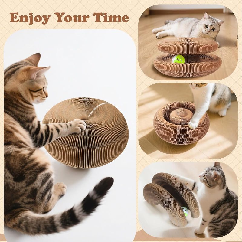 Cat Ball and Scratch Toy