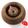 Cat Ball and Scratch Toy