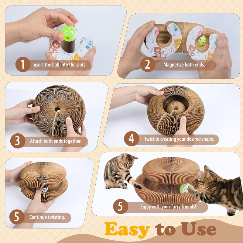 Cat Ball and Scratch Toy