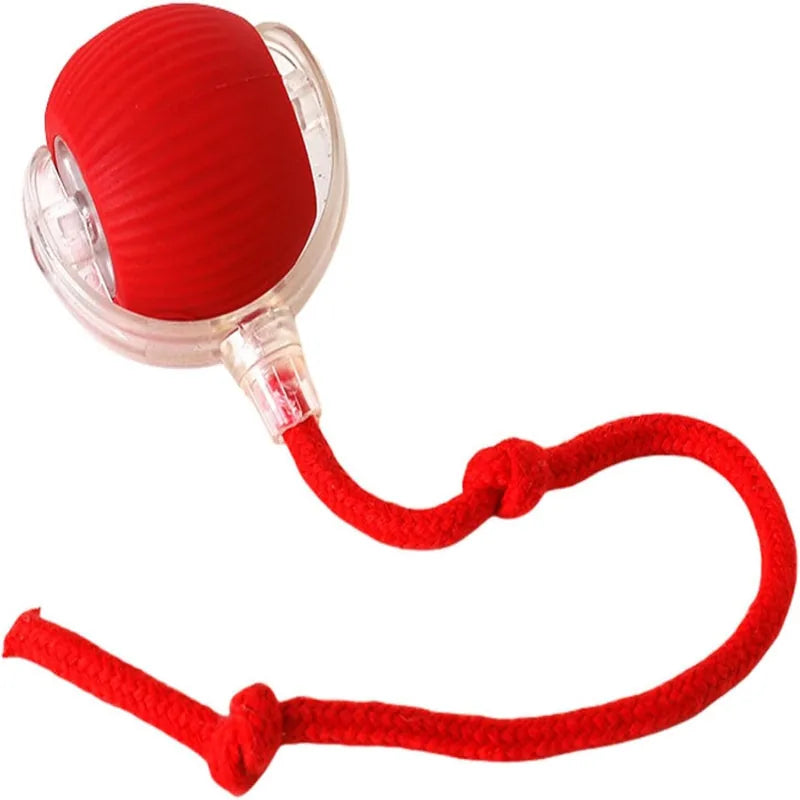 Active Rolling Ball with Tail