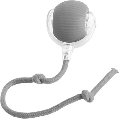 Active Rolling Ball with Tail
