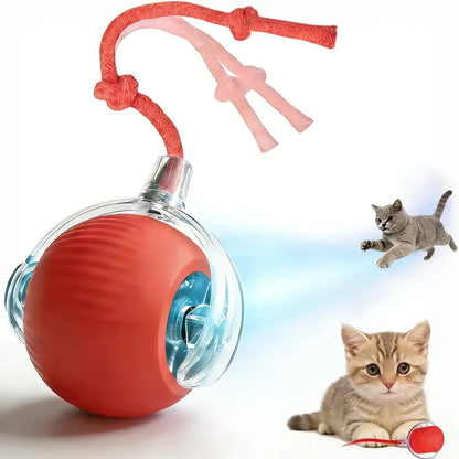 Active Rolling Ball with Tail