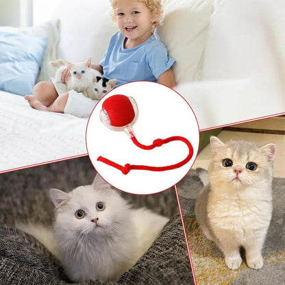 Active Rolling Ball with Tail