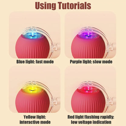 Active Rolling Ball with Tail