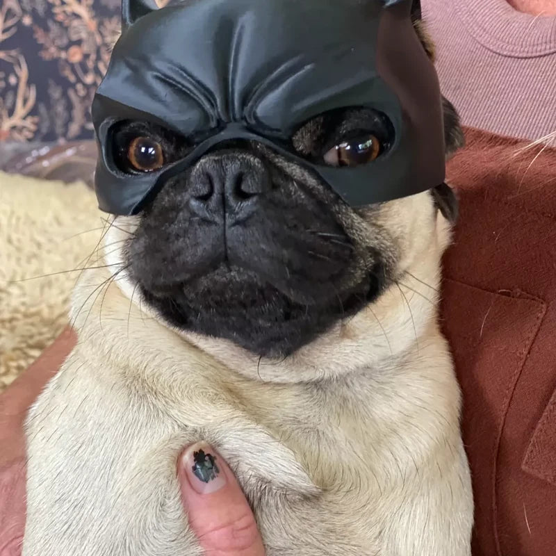 Bat-Eared Pet Mask for Cats & Dogs