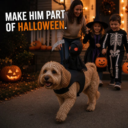 BooPaws pet rider costume Halloween scene