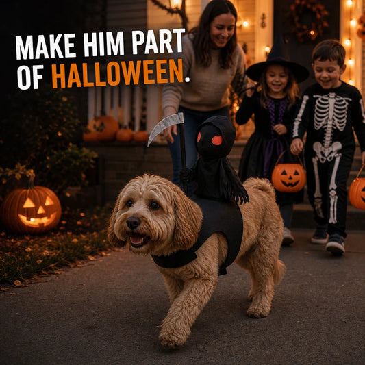 BooPaws pet rider costume Halloween scene
