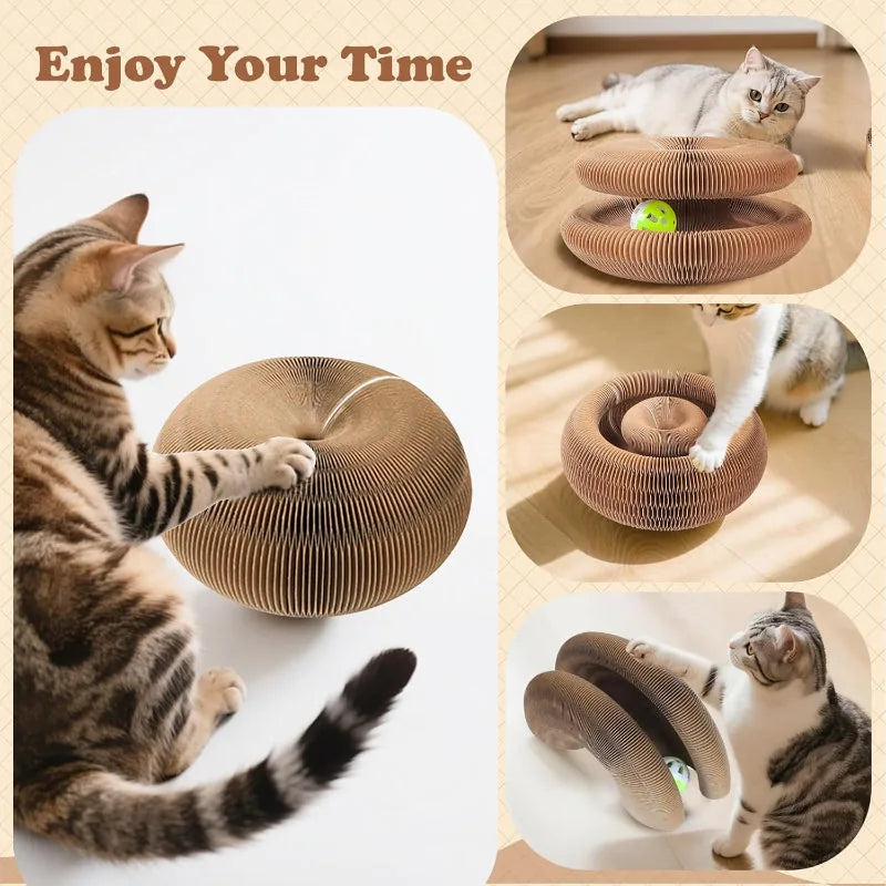 Cat Ball and Scratch Toy