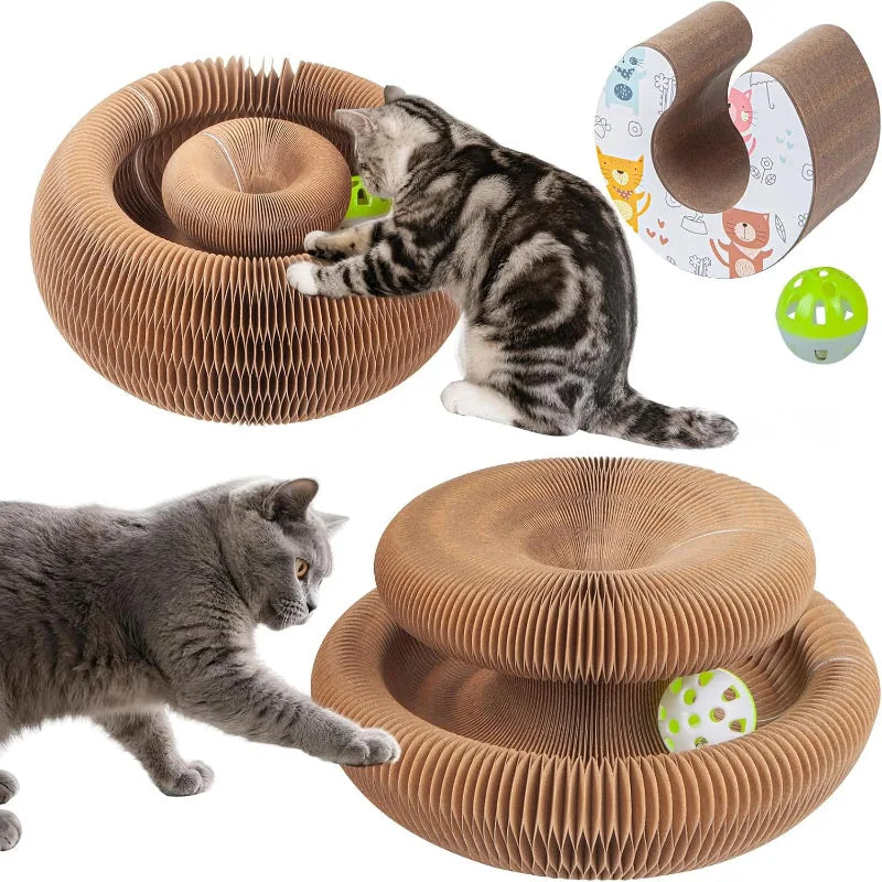 Cat Ball and Scratch Toy