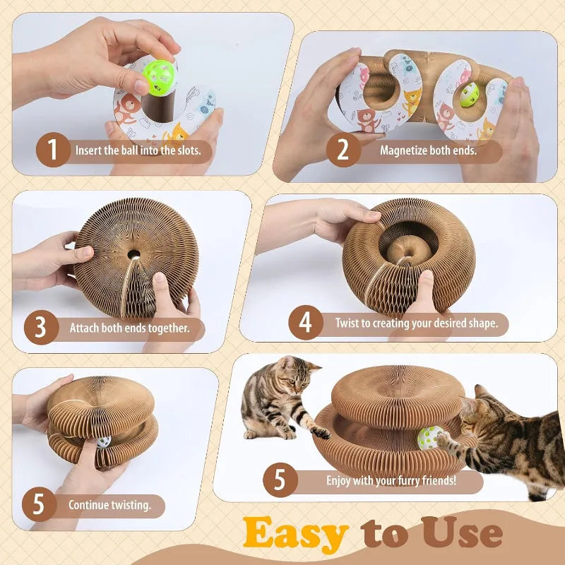 Cat Ball and Scratch Toy