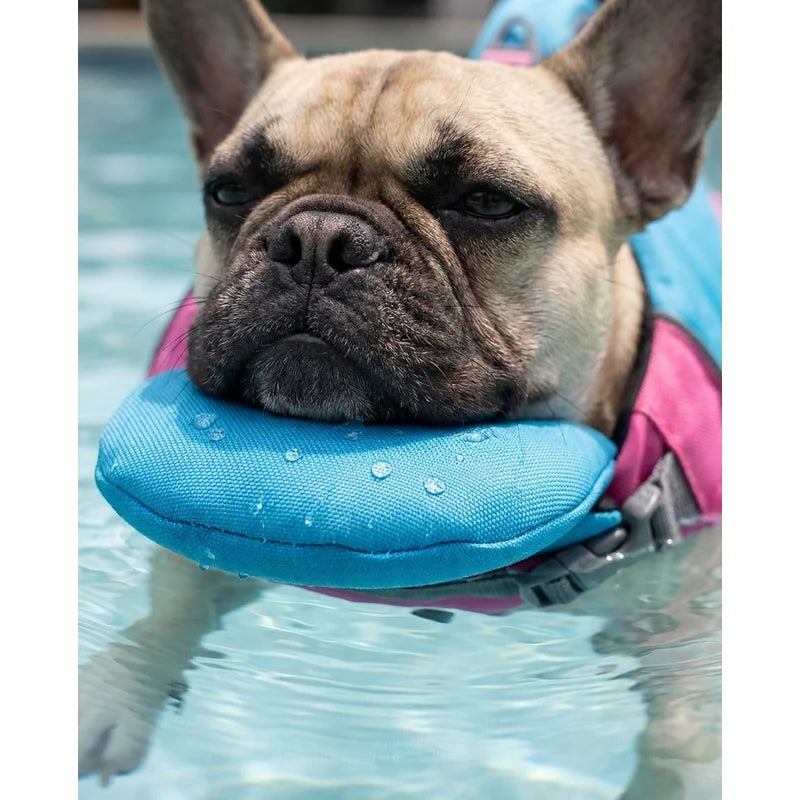 Padded chin float supporting a dog in water