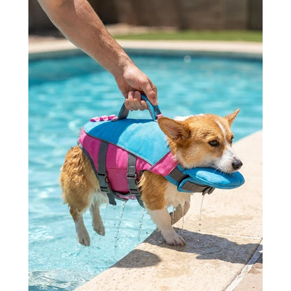 Top rescue handle lifting a dog from the pool