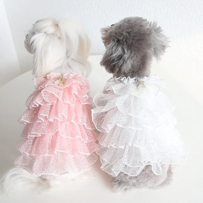 Layered Lace Dress Cat Clothes