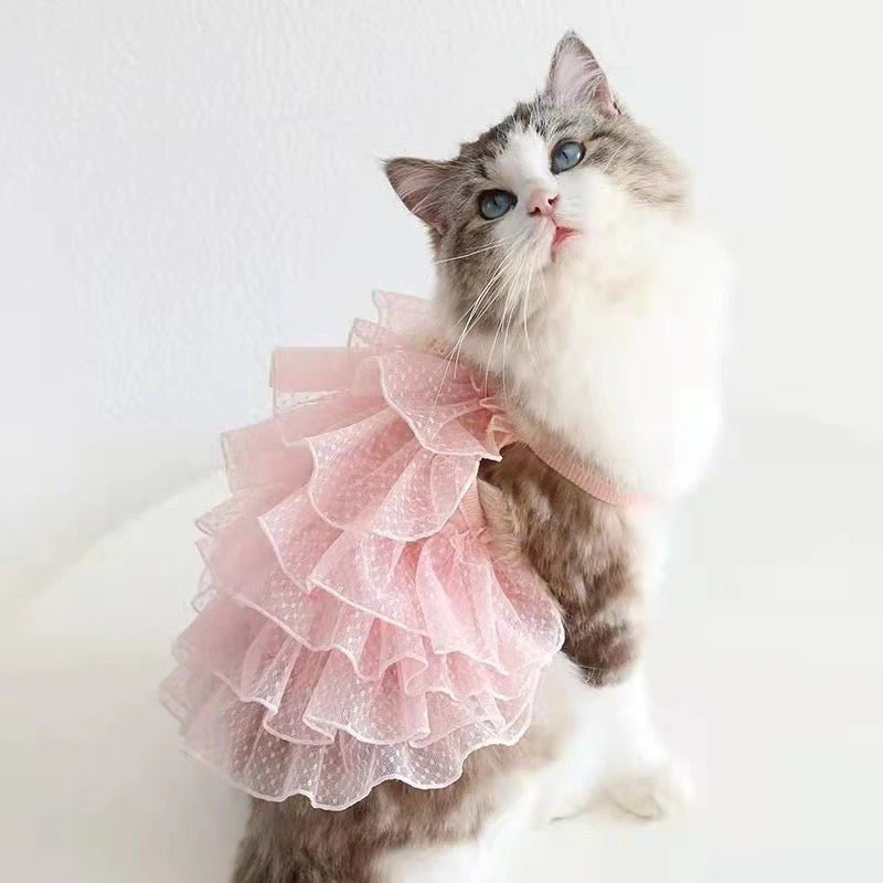 Layered Lace Dress Cat Clothes