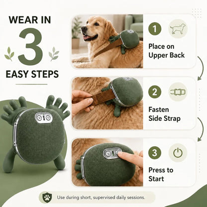 Easy three-step pet massager setup