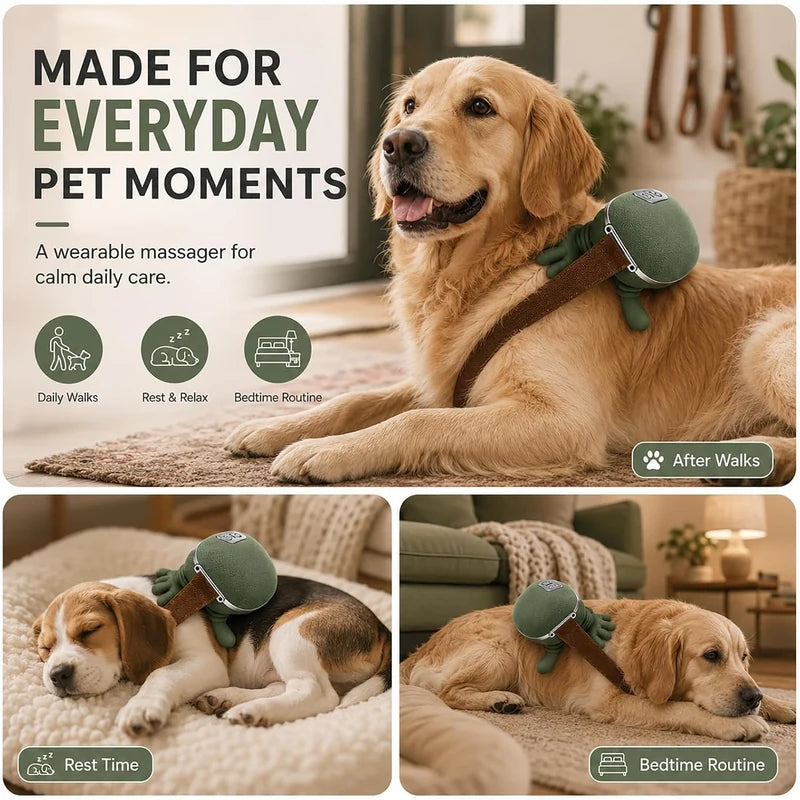 Pet massager for everyday relaxation