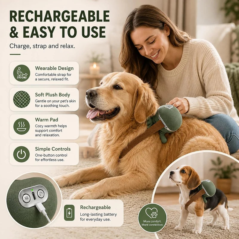 USB rechargeable pet massager controls