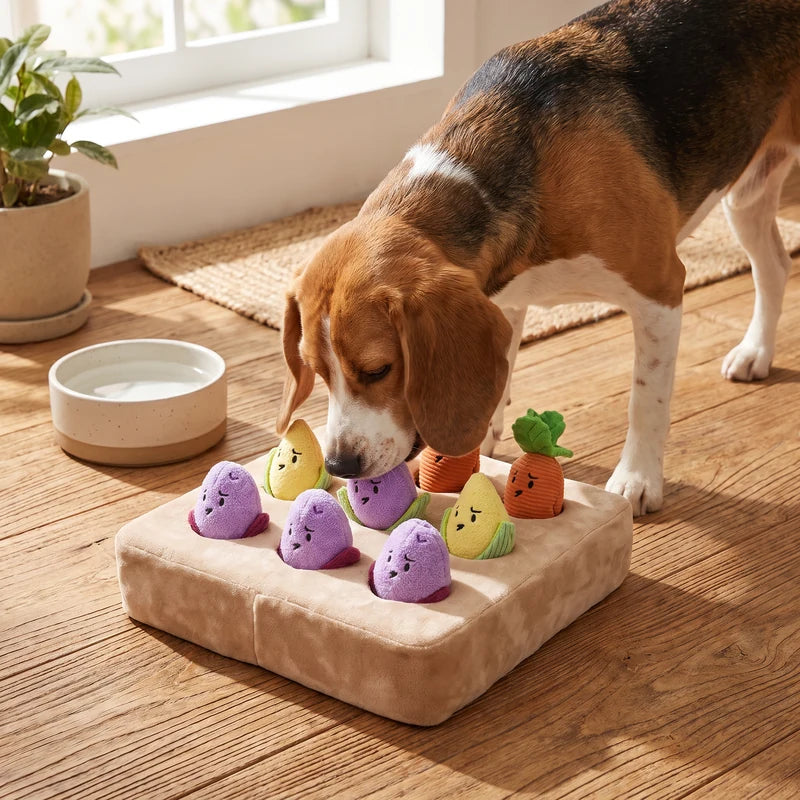 Dog playing with the PAWLOVE vegetable garden snuffle toy