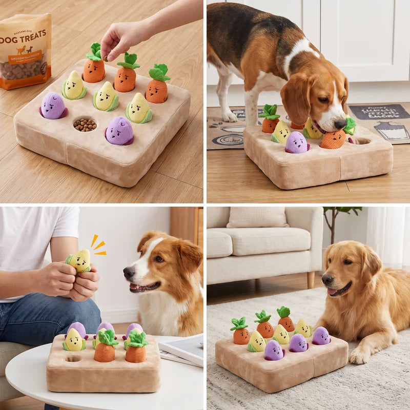 Ways to play with the vegetable garden dog toy
