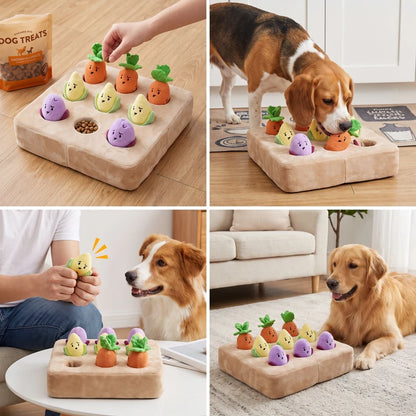 Ways to play with the vegetable garden dog toy
