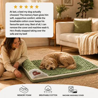Machine Washable Dog&Cat Bed