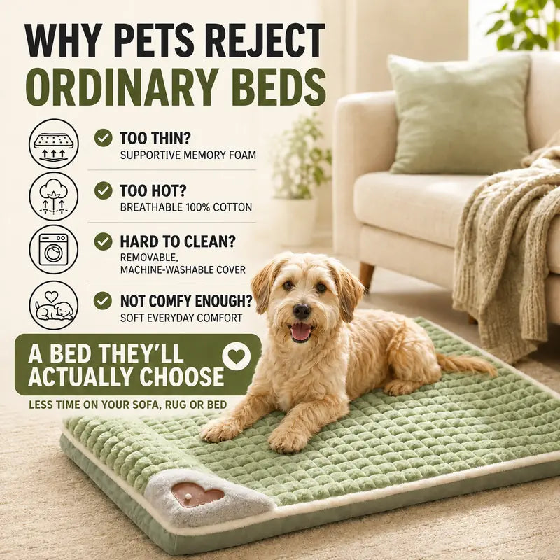 Machine Washable Dog&Cat Bed
