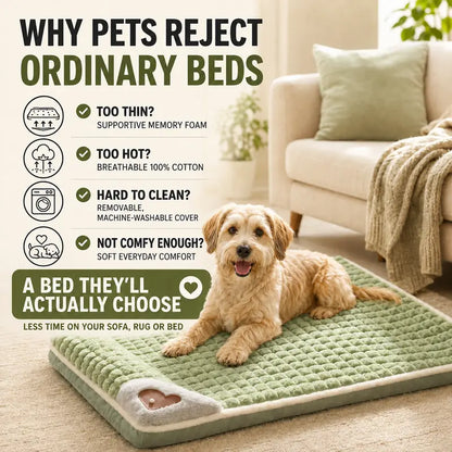Machine Washable Dog&Cat Bed