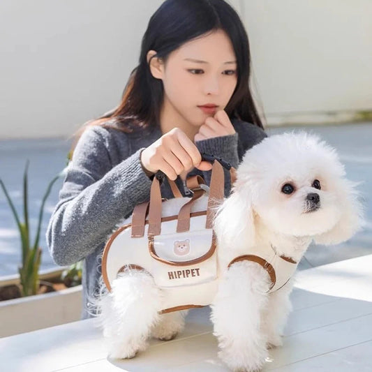 Small dog lift harness backpack with a white dog