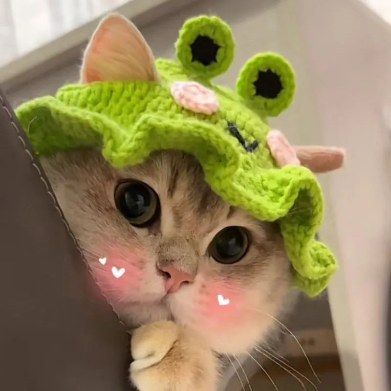 Soft Pet Costume Hat